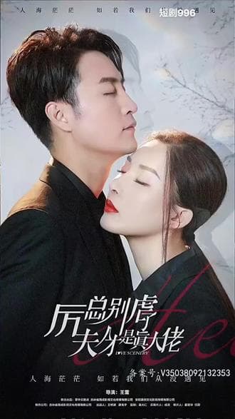 厉总别虐了,夫人才是真大佬 - 爽文短剧 (2023) 海报