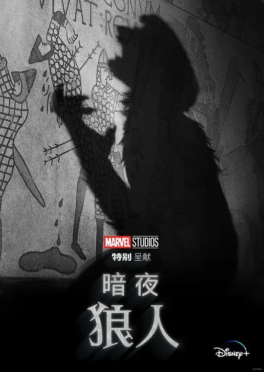 暗夜狼人【影视解说】 - 影视解说 (2022) 海报