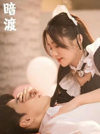 暗渡 - 爽文短剧 (2023) 海报