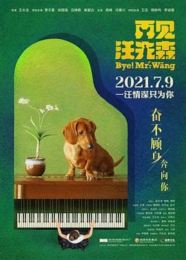 再见汪先森 - 喜剧片 (2021) 海报