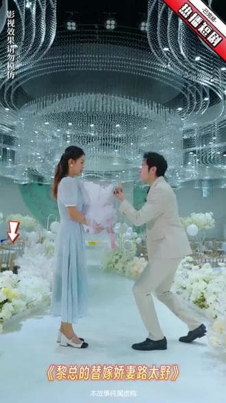 黎总的替嫁娇妻路太野 - 爽文短剧 (2023) 海报