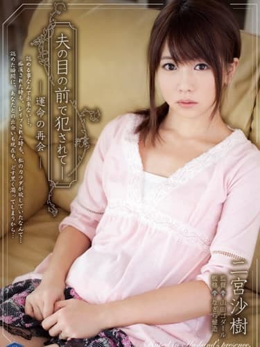 烈爱复仇 SHKD-538 - 日本伦理 (2014) 海报