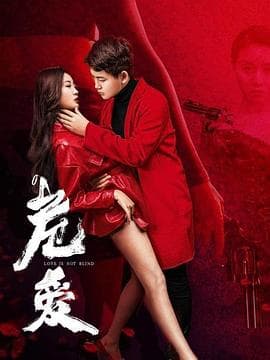 危爱 - 爱情片 (2020) 海报