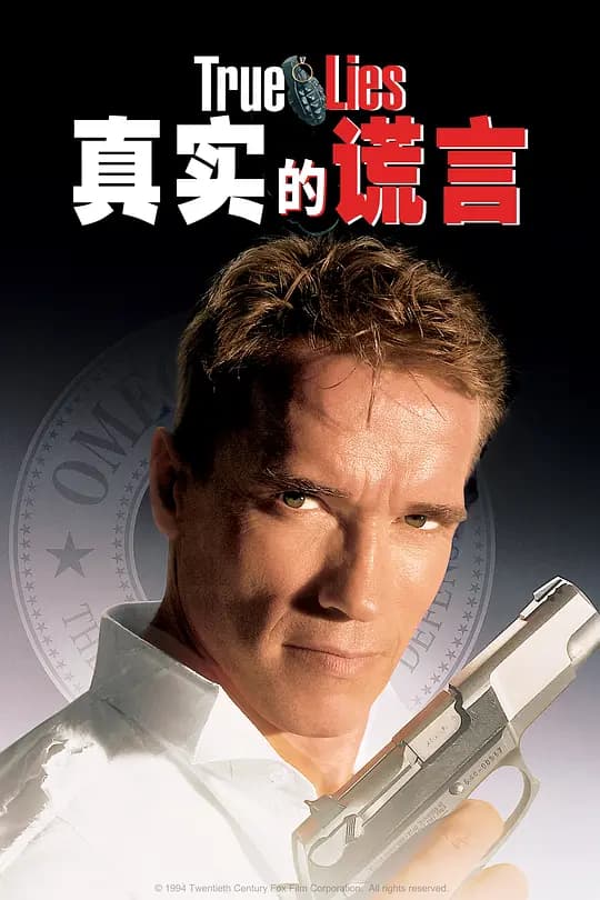 真实的谎言 【影视解说】 - 影视解说 (1994) 海报