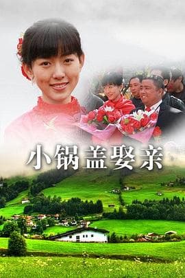 小锅盖娶亲 - 剧情片 (2011) 海报