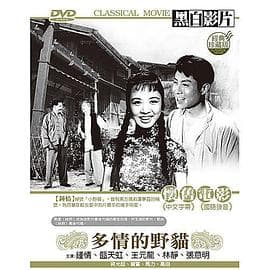 多情的野猫 - 剧情片 (1960) 海报