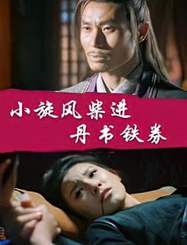 小旋风柴进之丹书铁券 - 剧情片 (2016) 海报