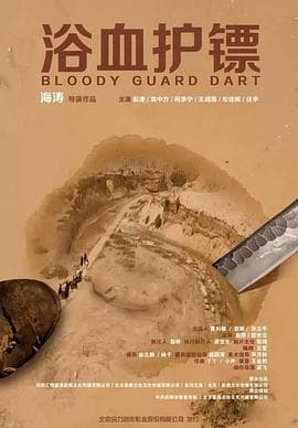 浴血护镖 - 剧情片 (2017) 海报