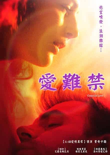 爱难禁 - 西方伦理 (2017) 海报