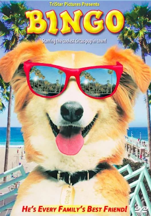 灵犬宾果【影视解说】 - 影视解说 (1991) 海报