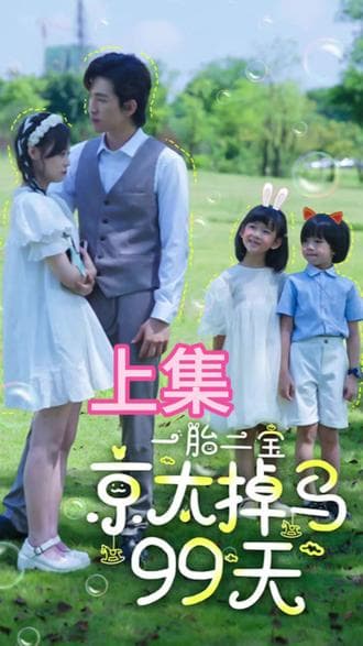 一胎两宝，京太掉马99天 - 爽文短剧 (2023) 海报