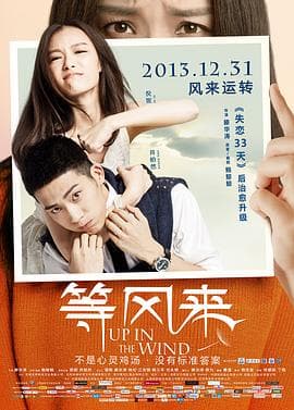 等风来 - 喜剧片 (2013) 海报