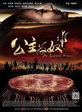 公主为奴 - 剧情片 (2014) 海报