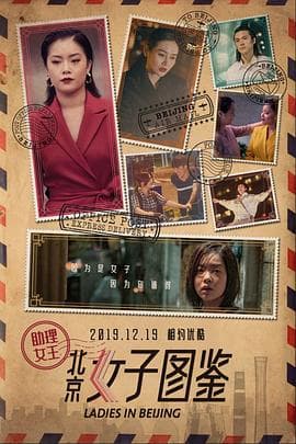 北京女子图鉴之助理女王 - 剧情片 (2019) 海报