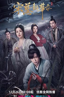 宋慈韶华录 - 国产剧 (2023) 海报