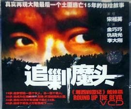 追剿魔头 - 剧情片 (2003) 海报