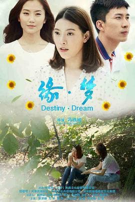 缘·梦 - 剧情片 (2018) 海报