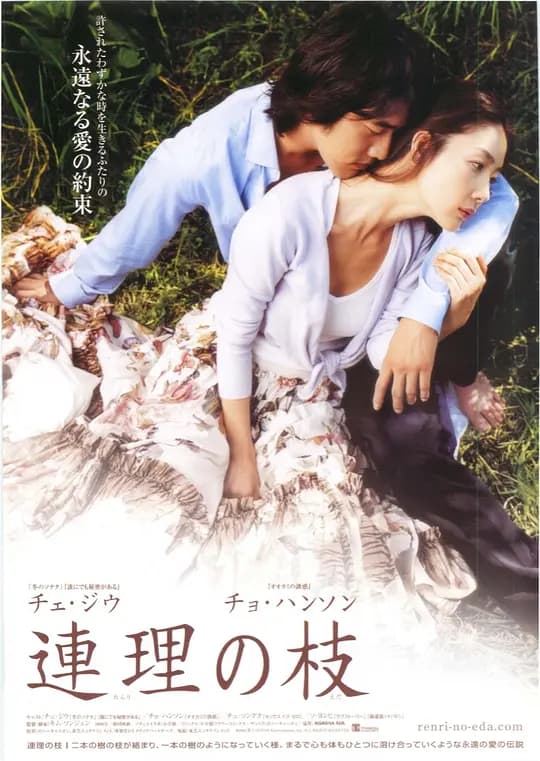 连理枝【影视解说】 - 影视解说 (2006) 海报
