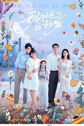 我们之间的秘密 - 国产剧 (2023) 海报