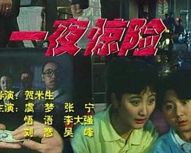 一夜惊险 - 喜剧片 (1993) 海报