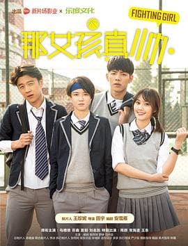 那女孩真帅 - 剧情片 (2017) 海报