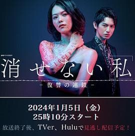 无法消除的“我”―复仇的连锁― - 日剧 (2024) 海报