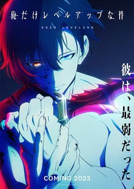 我独自升级 - 日韩动漫 (2024) 海报