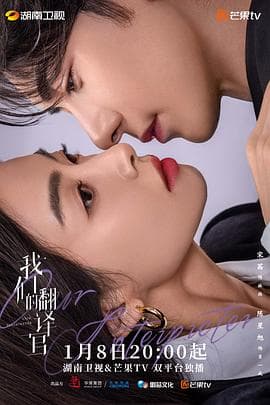 我们的翻译官 - 国产剧 (2024) 海报