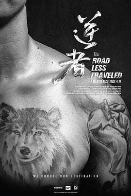 逆者 - 纪录片 (2020) 海报