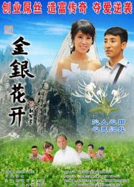 金银花开 - 剧情片 (2013) 海报