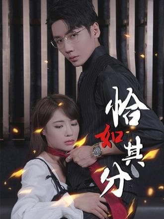 恰如其分 - 爽文短剧 (2023) 海报