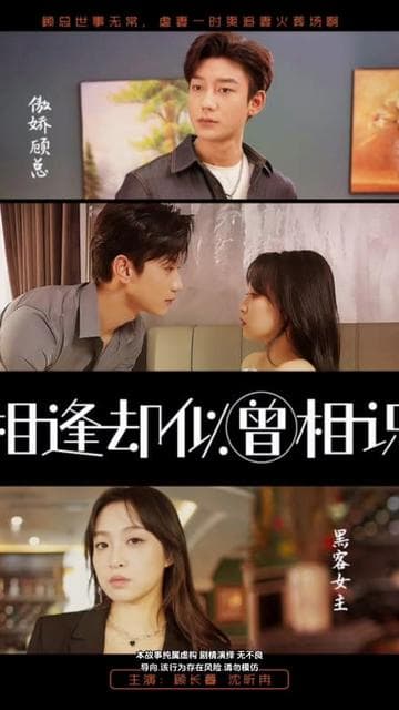 相逢却似曾相识 - 爽文短剧 (2023) 海报