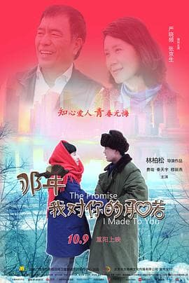 那年我对你的承诺 - 爱情片 (2016) 海报