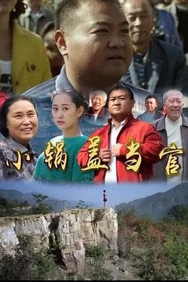 小锅盖当官 - 剧情片 (2015) 海报