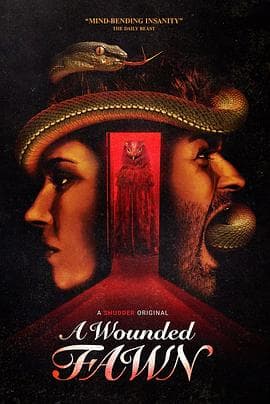 受伤的小鹿 - 恐怖片 (2022) 海报
