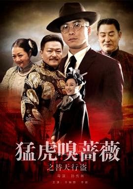 猛虎嗅蔷薇之替天行盗 - 剧情片 (2017) 海报