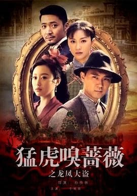 猛虎嗅蔷薇之龙凤大盗 - 剧情片 (2017) 海报