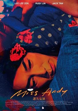 迷失安狄 - 剧情片 (2020) 海报