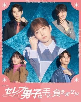 名流男子太棘手 - 日剧 (2024) 海报