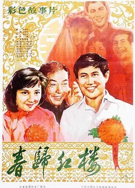 春归红楼 - 剧情片 (1981) 海报