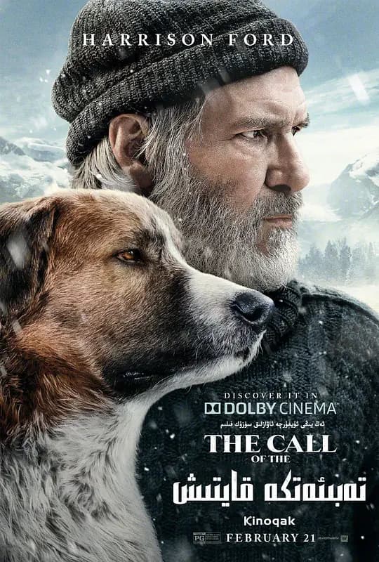 荒野的呼唤【影视解说】 - 影视解说 (2020) 海报