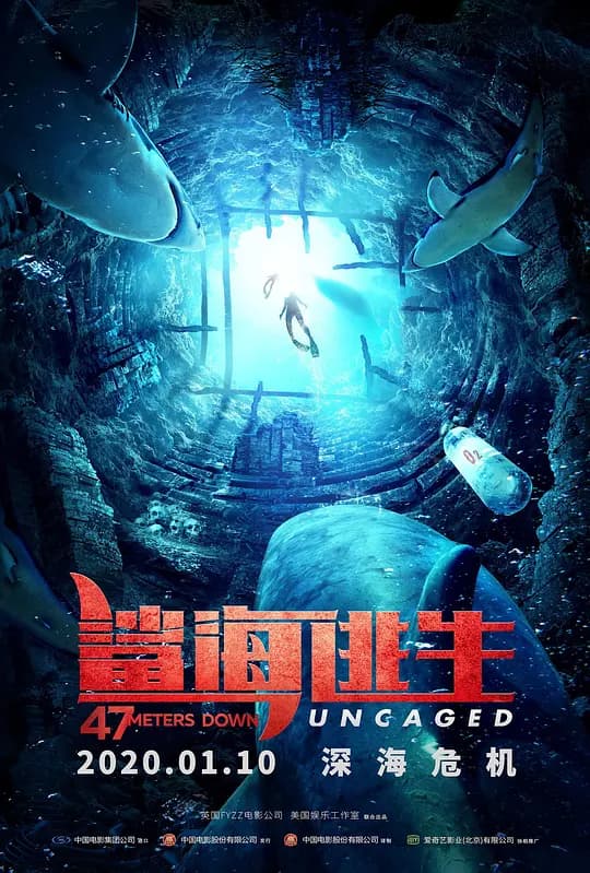 鲨海逃生【影视解说】 - 影视解说 (2019) 海报