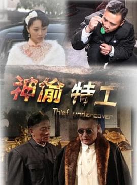 神偷特工 - 剧情片 (2013) 海报