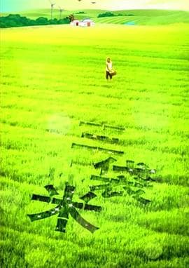 三袋米 - 剧情片 (2014) 海报