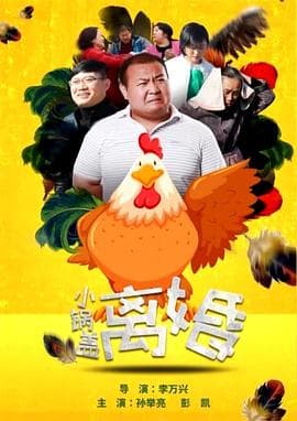 小锅盖离婚 - 剧情片 (2017) 海报