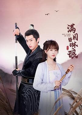 满目皆琳琅 - 国产剧 (2024) 海报