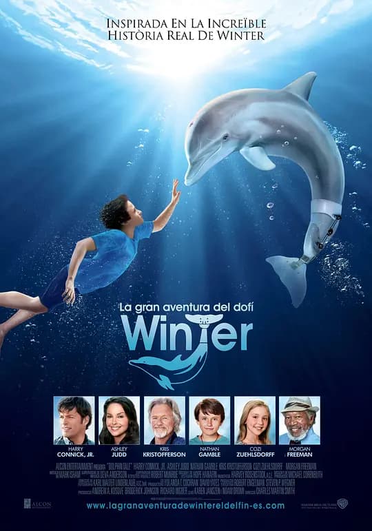 海豚的故事【影视解说】 - 影视解说 (2011) 海报