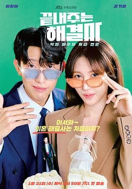 绝佳的解决师 - 韩剧 (2024) 海报