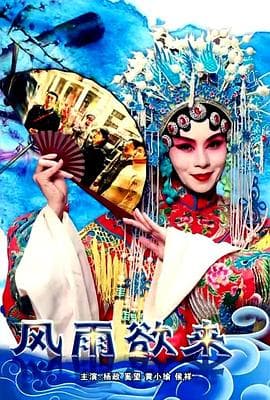 风雨欲来 - 剧情片 (2017) 海报