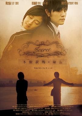 不能说的秘密2007 - 爱情片 (2007) 海报